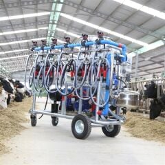 Altı Sağım Mobil Sağımhane Sistemi (Elektronik Pulsatörlü)