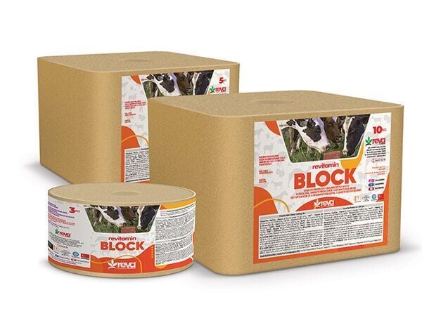 REVITAMIN BLOCK